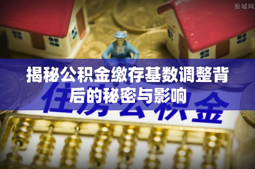 青川揭秘公积金缴存基数调整背后的秘密与影响