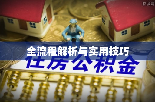 青川全流程解析与实用技巧