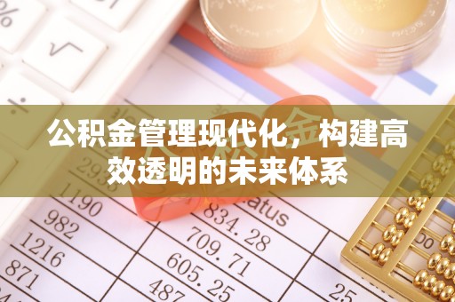 青川公积金管理现代化，构建高效透明的未来体系