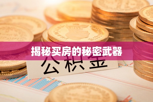 青川揭秘买房的秘密武器