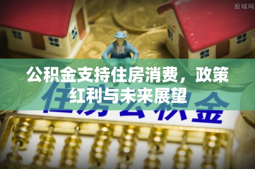 青川公积金支持住房消费，政策红利与未来展望