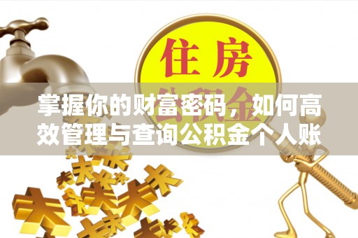 青川掌握你的财富密码，如何高效管理与查询公积金个人账户信息