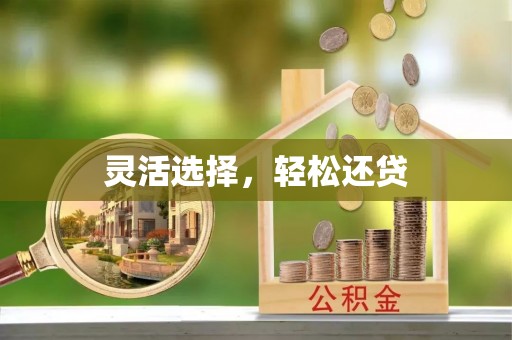 青川灵活选择，轻松还贷