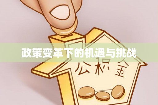 青川政策变革下的机遇与挑战