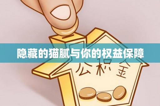 青川隐藏的猫腻与你的权益保障