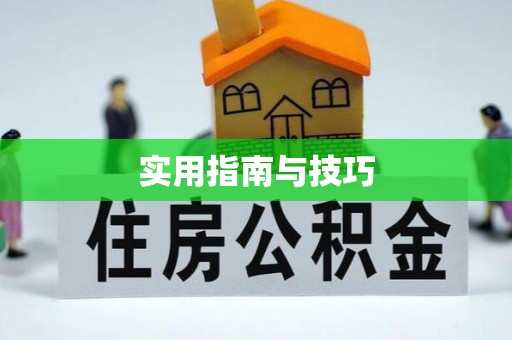 青川实用指南与技巧