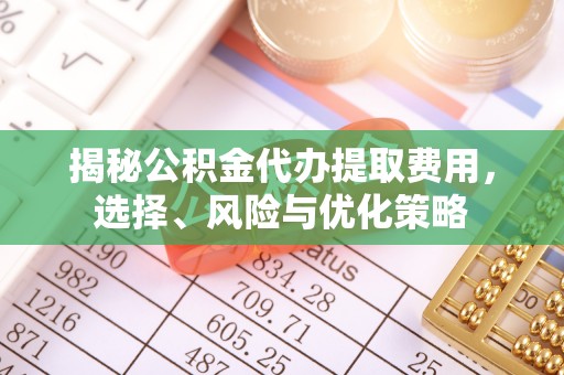 青川揭秘公积金代办提取费用，选择、风险与优化策略