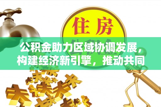 青川公积金助力区域协调发展，构建经济新引擎，推动共同富裕
