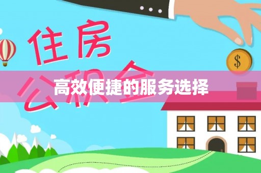 青川高效便捷的服务选择